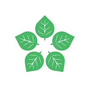 5 leaves arranged in a star